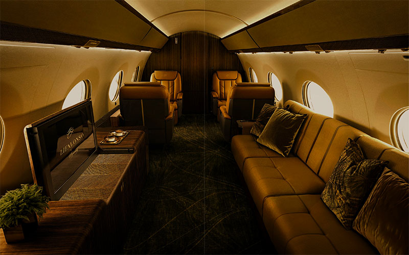 lie alonso dynasty private jet interior design cafe suave